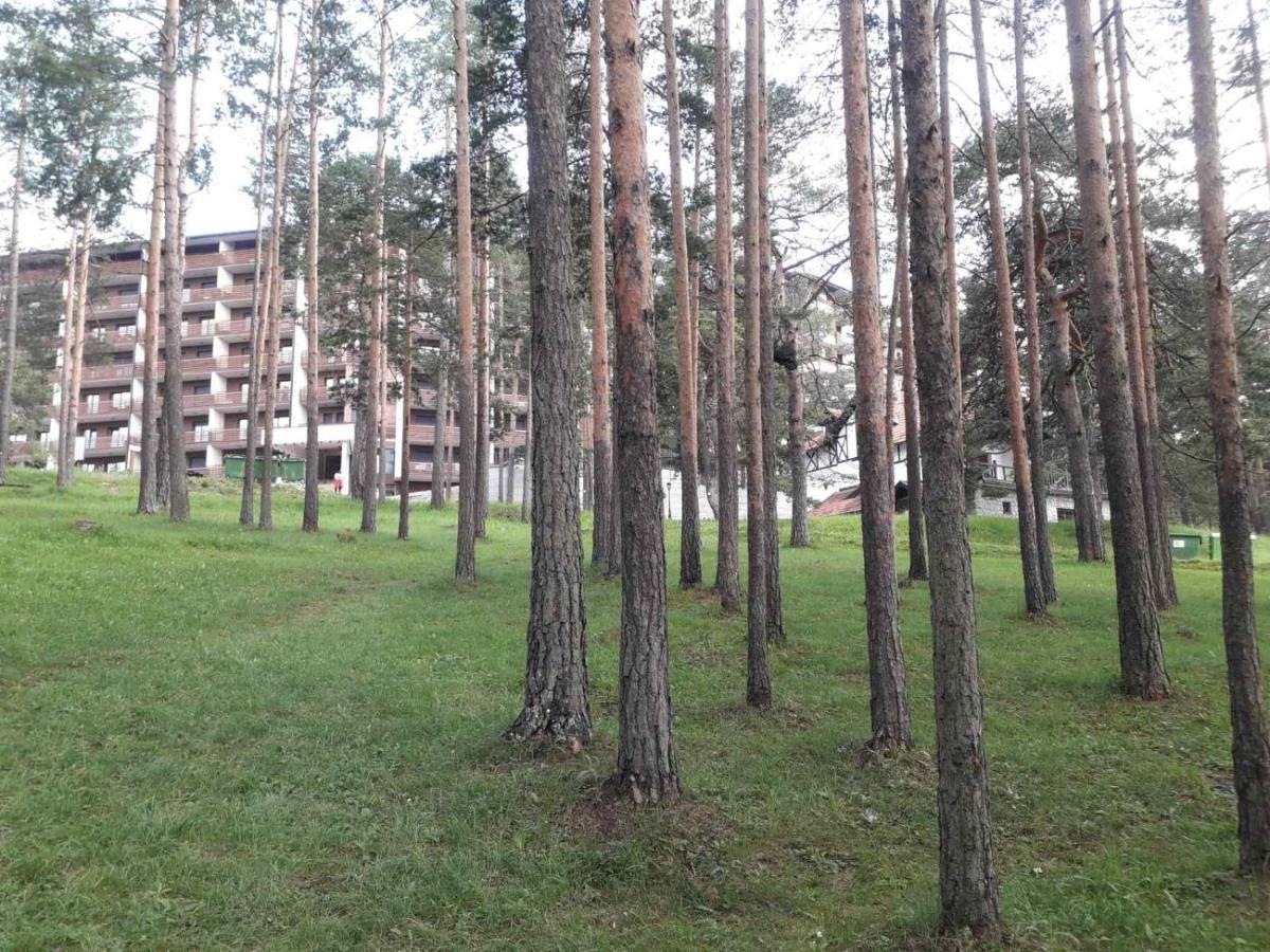 Lux Apartman Ss Zlatibor Vila Pekovic Green Exterior photo